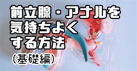 乳首 前立腺|前立腺はいきなり気持ちよくなるものではない。微妙。